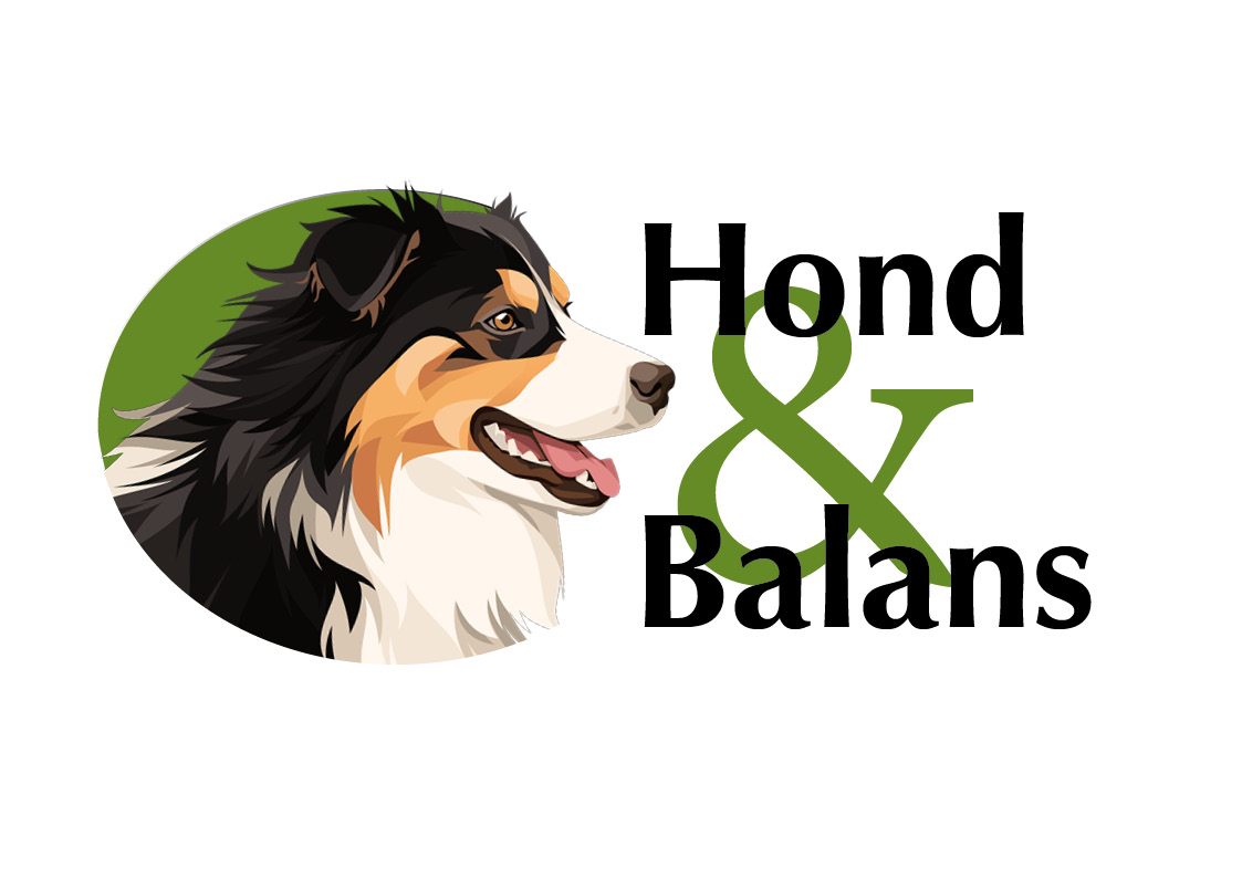Hond en Balans | Topdog | Onderwijs 