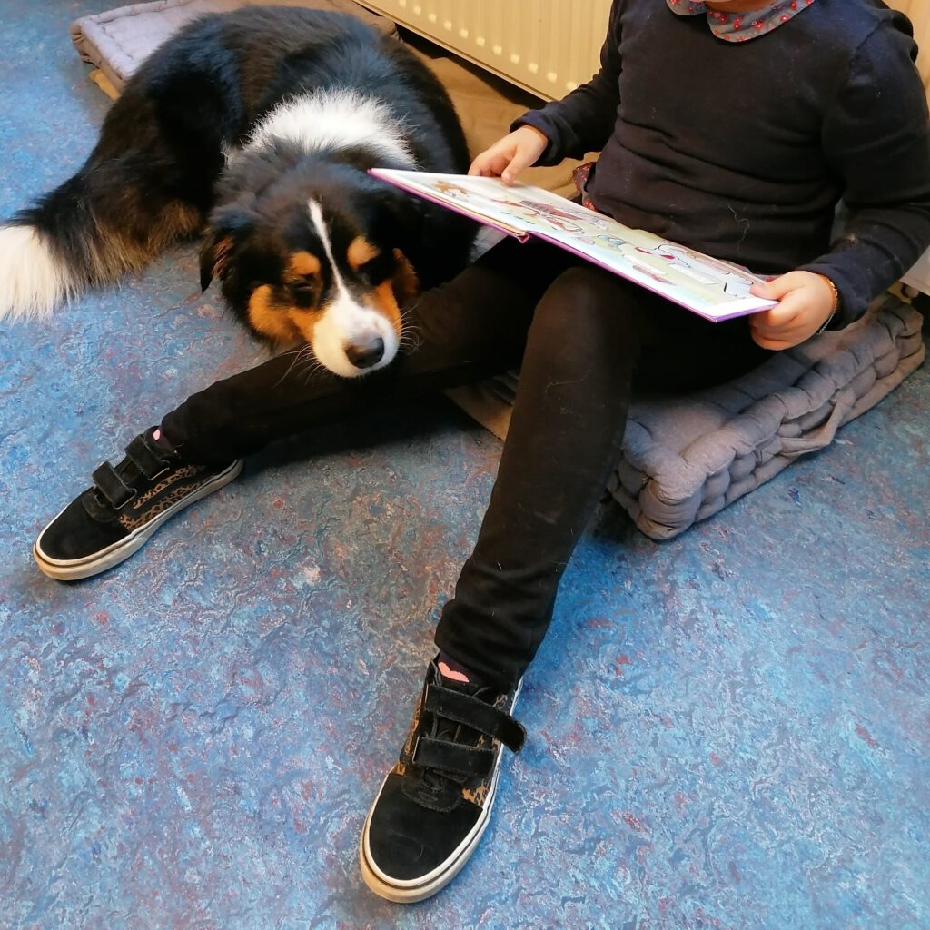Hond en Balans leesbevordering